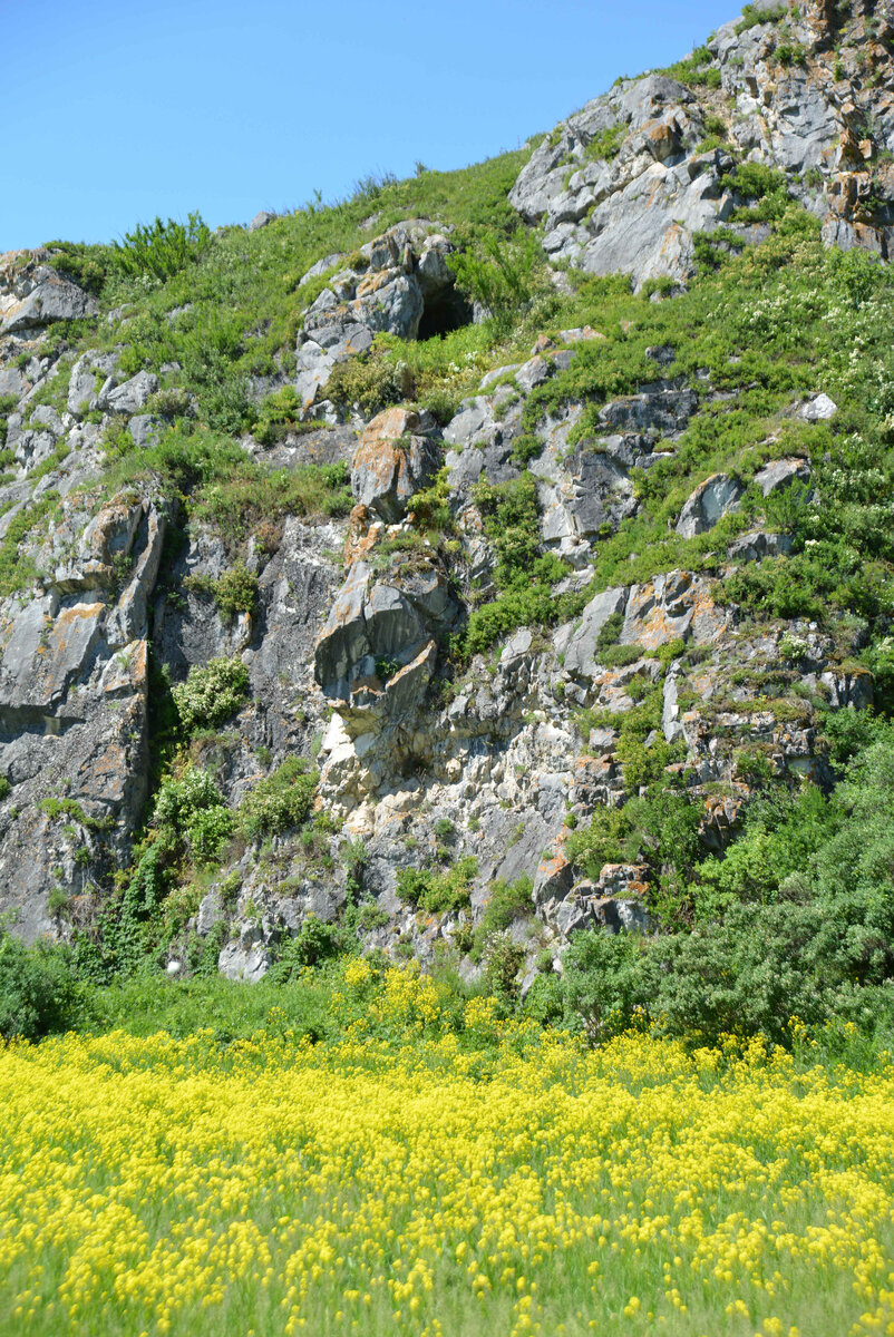 Скала Бутановская (Будаковская). Пещера "летучих мышей". Фото Ольга Шадрина
