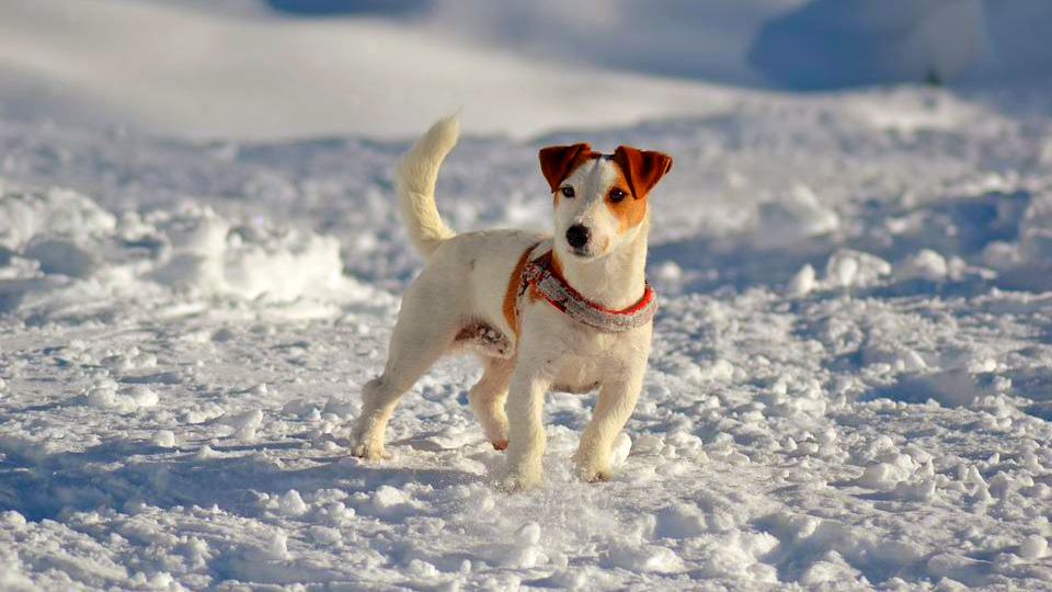 источник: pixabay. com