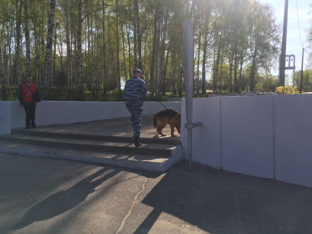    Фото: соцсети