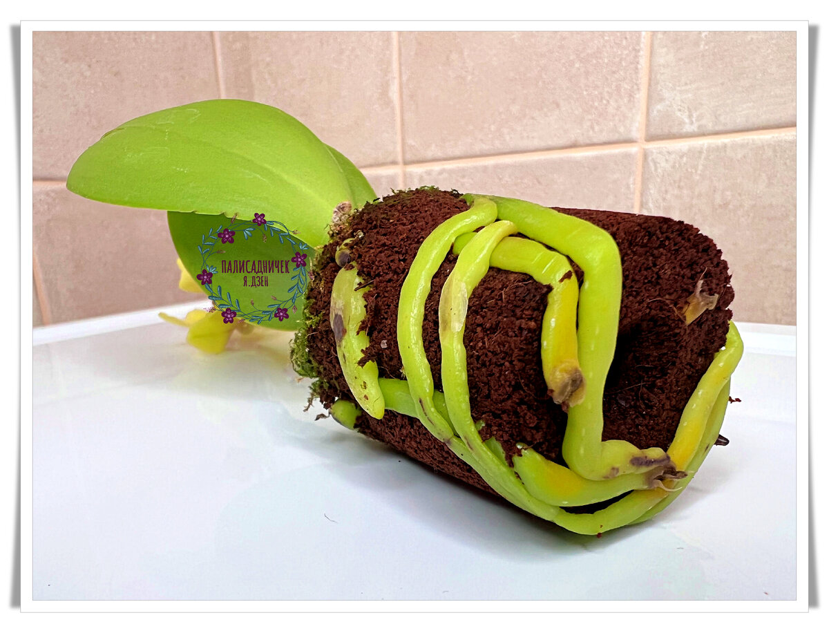 Огонь, по-моему! 🔥