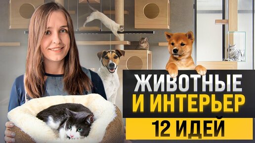 12 крутых идей для домашних животных в интерьере