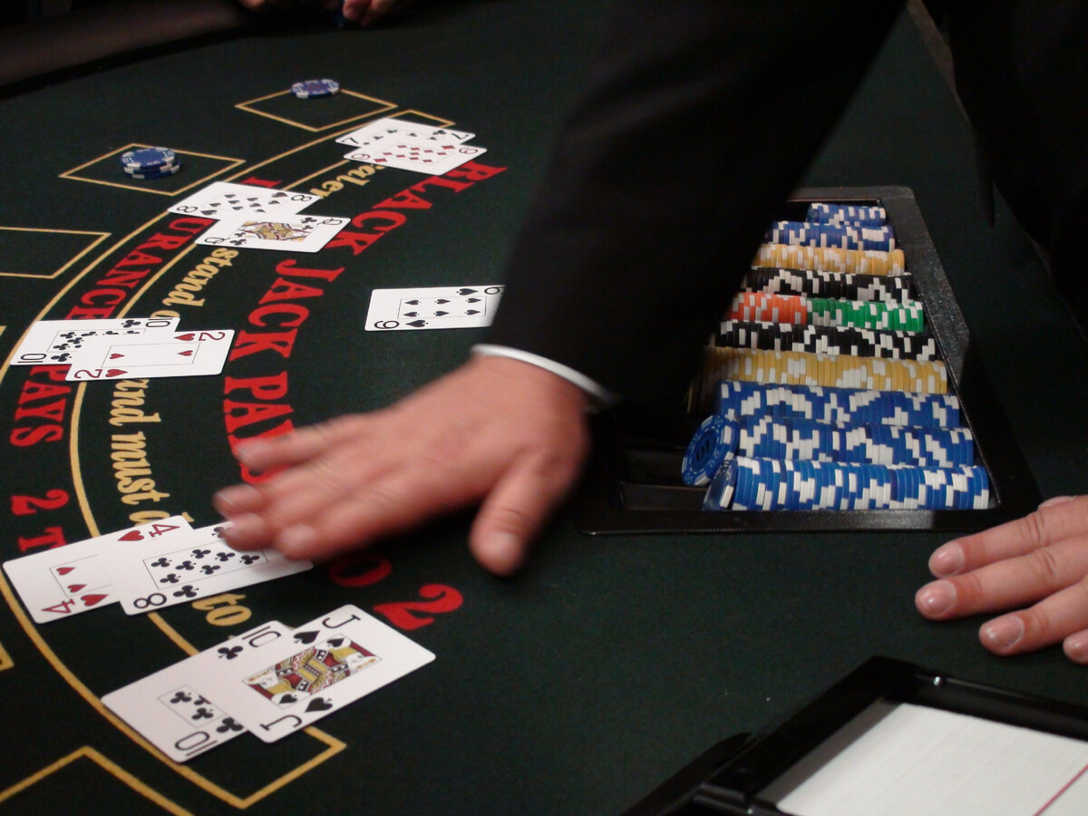 Похоже, кому-то лучше в шахматы не играть. Кто-то умеет только в Блэкджек, и чтобы все тузы под контролем. (Фото автора)