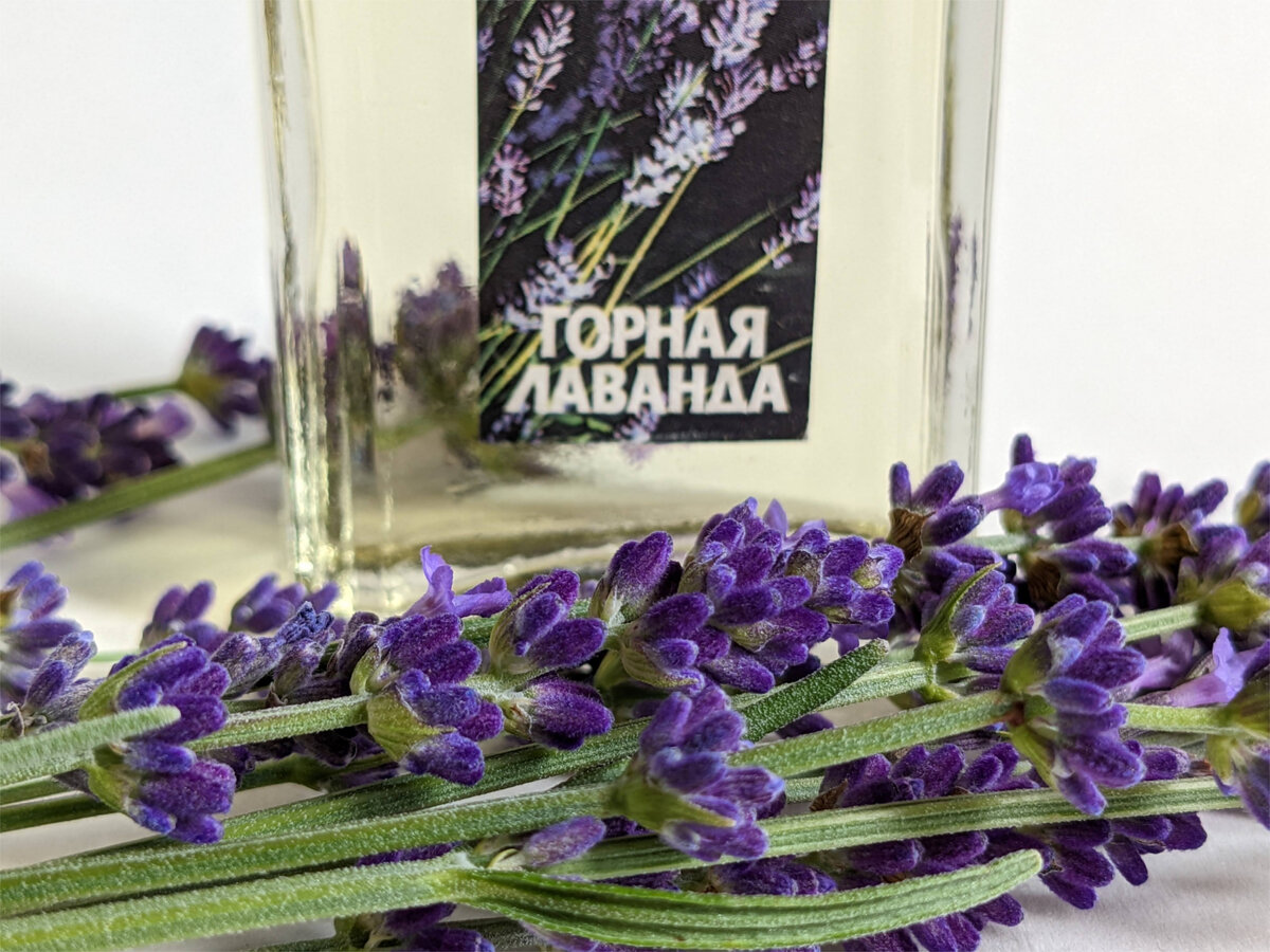 Лаванда Горная пищевая 50 гр