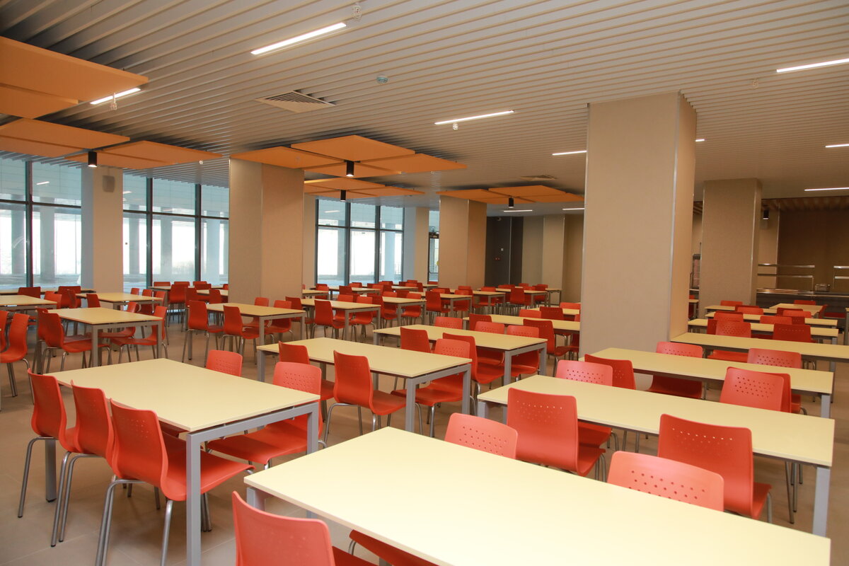 нижний новгород школа 800 новая школа. нижний новгород школа 800 новая школа. школа 800 нижний новгород автозавод. школа 800 нижний новгород микрорайон юг. школа 800 нижний новгород сормовский район.