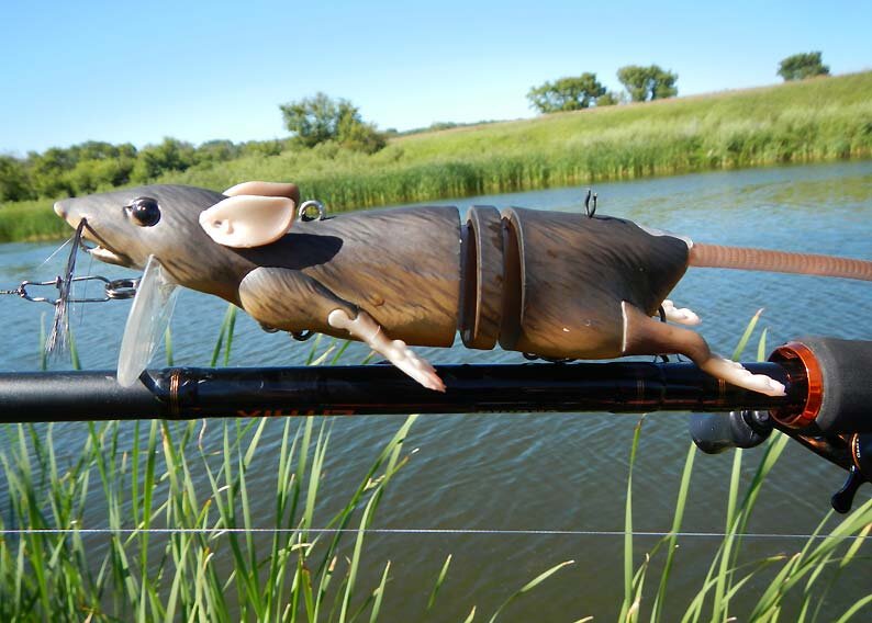 За счёт двух точек крепления мышь для рыбалки 3D Rad может выступать как поверхностная приманка, так и работать при проводке с небольшим заглублением.