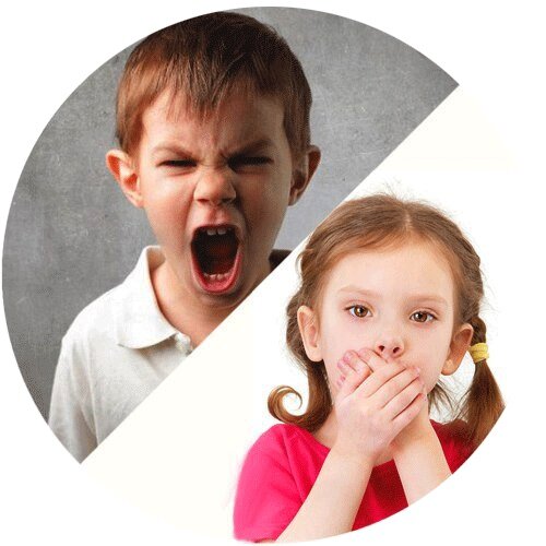 Гнев - это обычное нормальное чувство. Каждые может разгневаться - и я, и вы.Весь вопрос в том, что мы делаем с этим чувством, можем ли мы принять его, как мы его выражаем. Важное влияние на способ выражения гнева оказывает отношение к нему, обусловленное нашей культурой: "Хорошо никогда не злиться". Дети по этому поводу получают двойное послание. Они испытывают волну гнева, исходящую от взрослых либо прямо, либо косвенно,в форме ледяного неодобрения. В то же время для детей неприемлемо прямое выражение гнева. В весьма раннем возрасте они научаются подавлять это чувство, испытывая либо стыд в результате ярости своих матерей, либо вину за собственный гнев, чувство раскаяния, которое иногда их захлестывает. Дети наблюдают гнев в виде насилия по телевидению или в кино,а также в виде действий военных или полицейских властей. Они слышат о преступлениях с применением насилия и войнах. В результате в них возникает страх. Неудивительно, что гнев, подобному некоему ужасному чудовищу, должен непрерывно подавляться.   Гнев должен быть подавлен, задушен, его надо избегать.