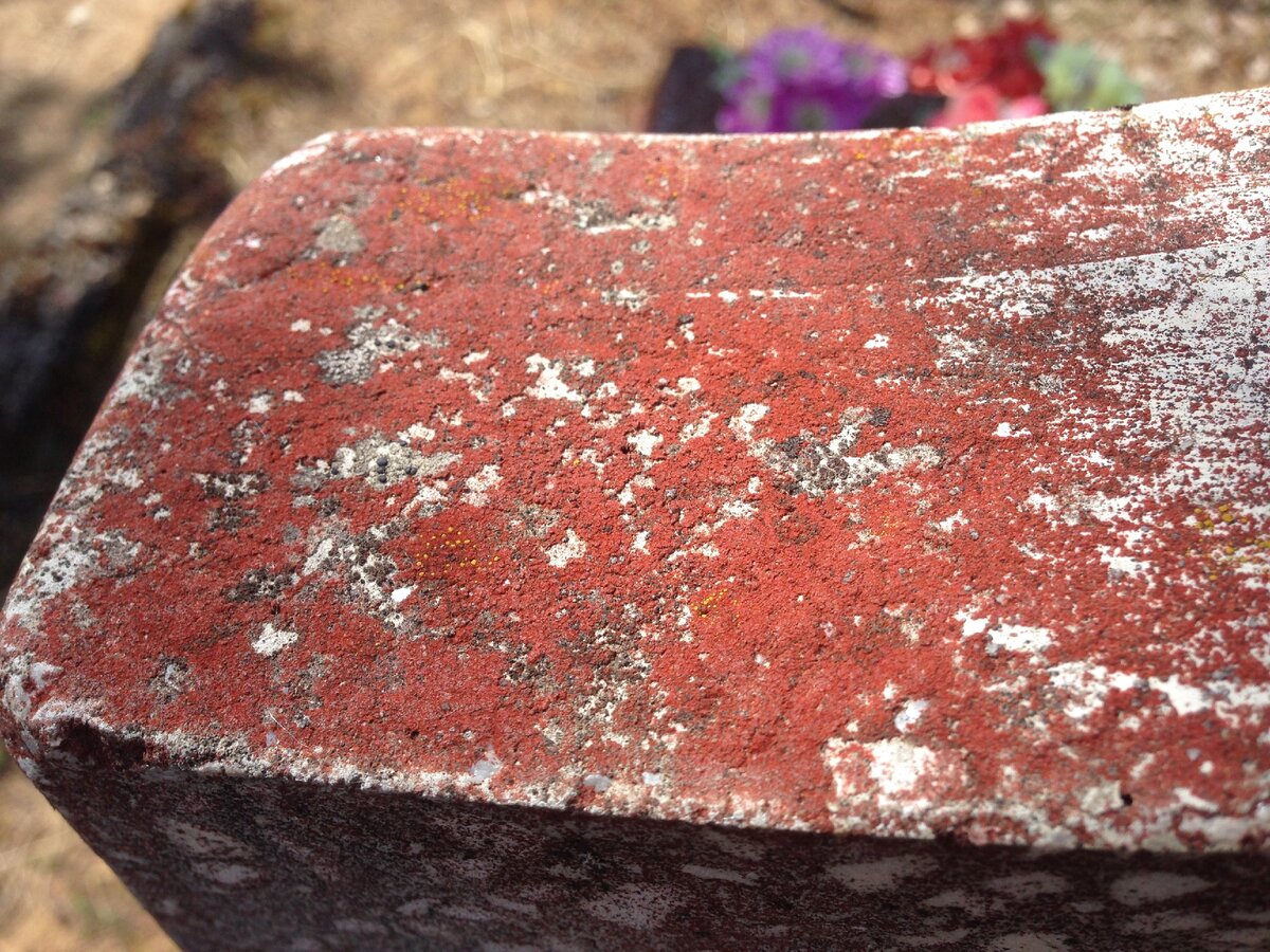 такой налёт образуется на памятниках из мраморной крошки. Листайте влево