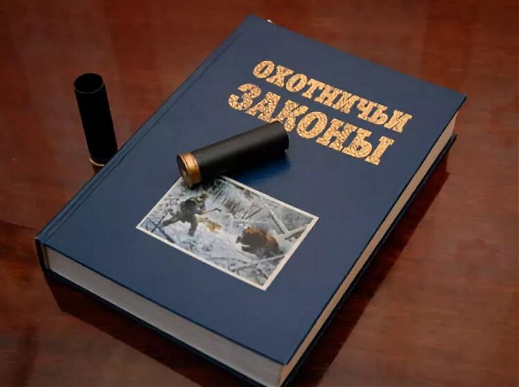 Обзор изменений новых Правил охоты 2020