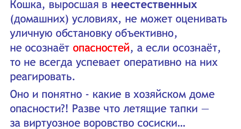 Это как? Учить прыгать в переноску по щелчку пальцев?  Что ж… было бы неплохо приучить питомца хотя бы не бояться переноски. Но, конечно, не это главное.-2