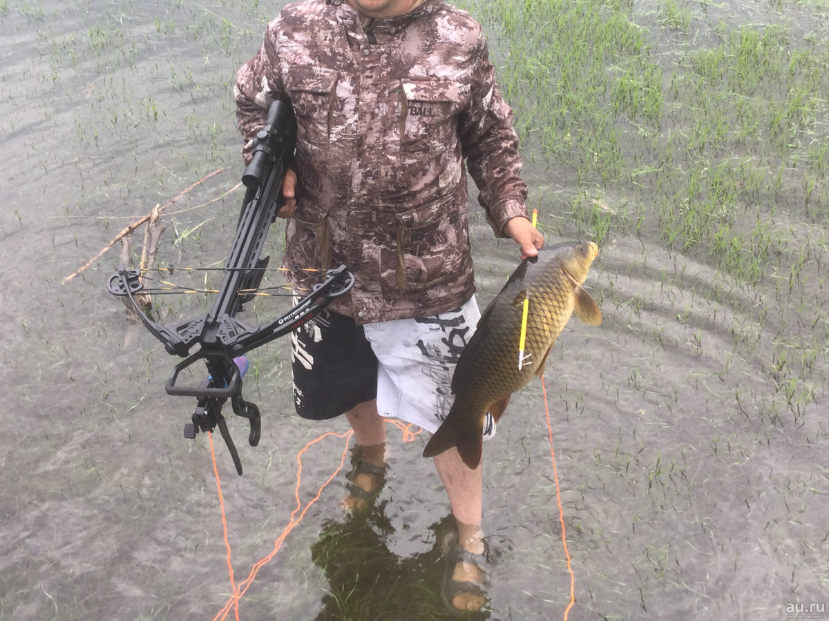 Bowfishing