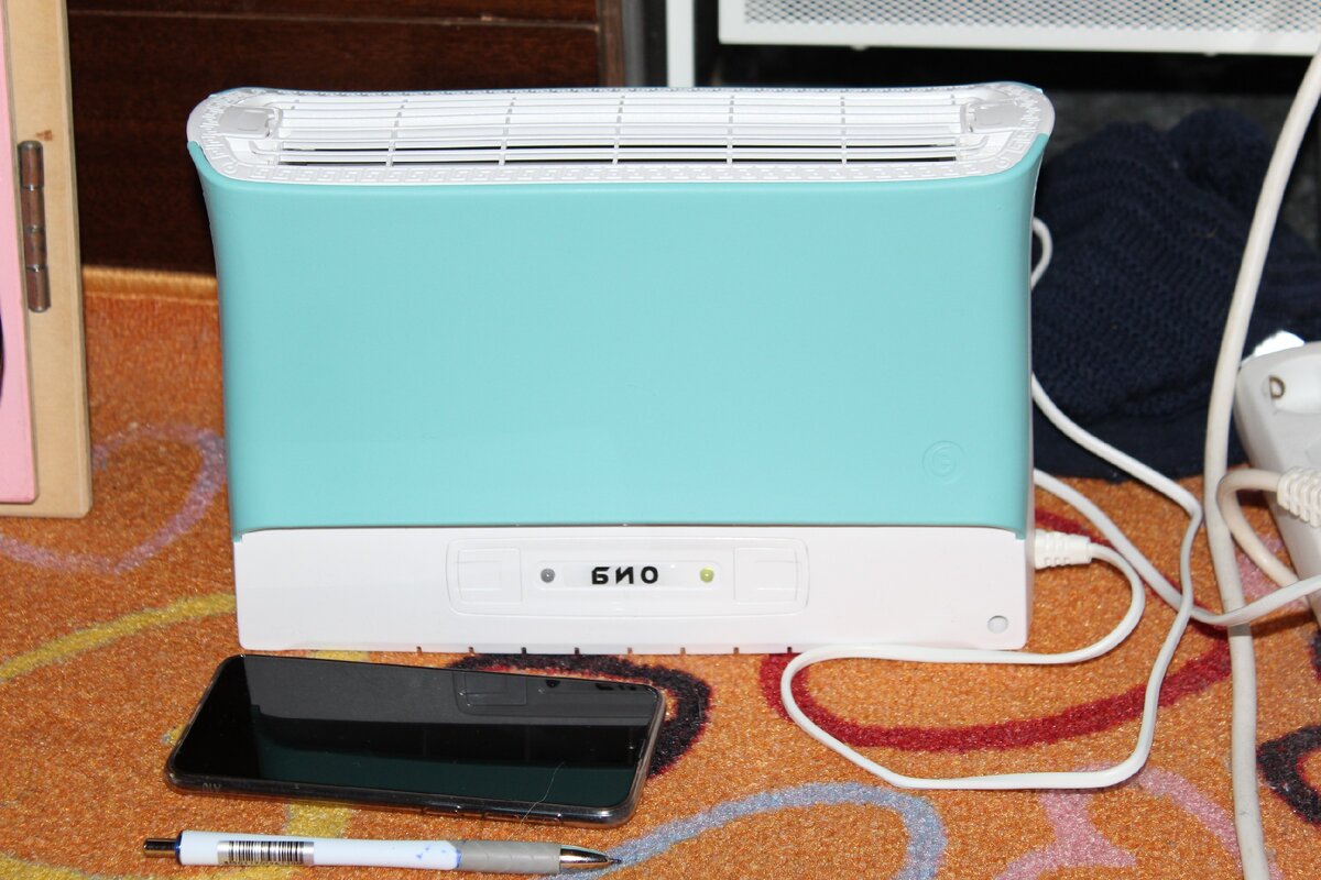 Вот такой малыш (телефон и ручка даны для масштаба), что его заслуг в очистке воздуха для семьи не умаляет. 