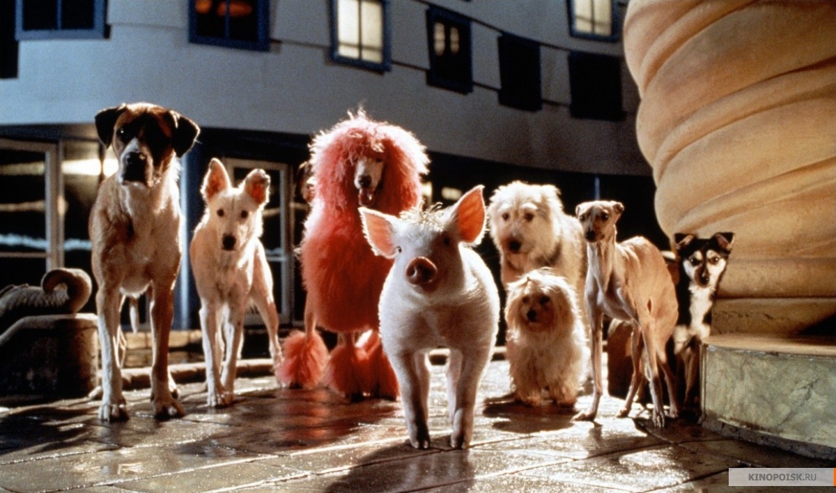 фото с kinopoisk.ru