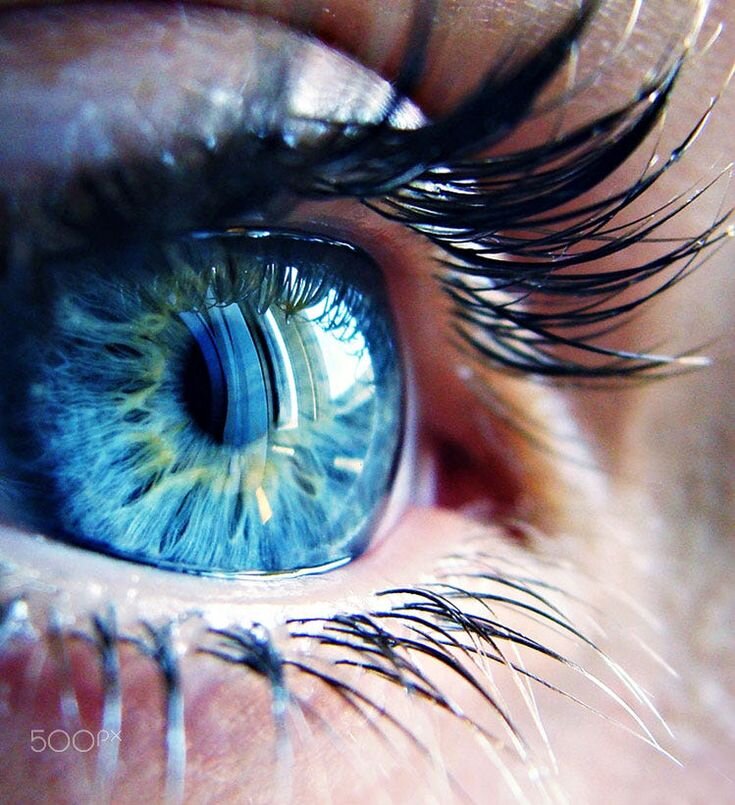 Упражнения по методике Бейтса