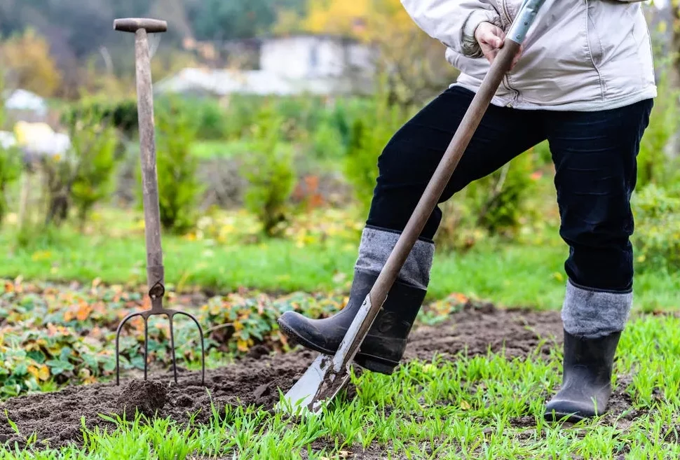 В майские праздники на дачу,на свежий воздух.