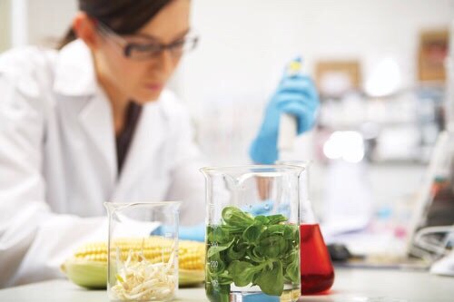Узнать точную цифру энергетической ценности продукта можно только в условиях лаборатории, где есть соответствующая техника.