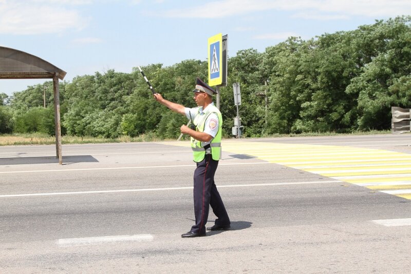 Браток, будь бдителен. Не корми ! Пусть живут на зарплату!!!