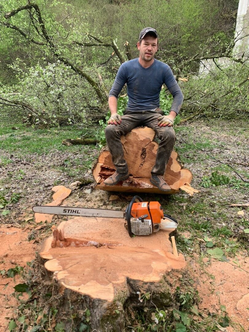 спил деревьев Сочи