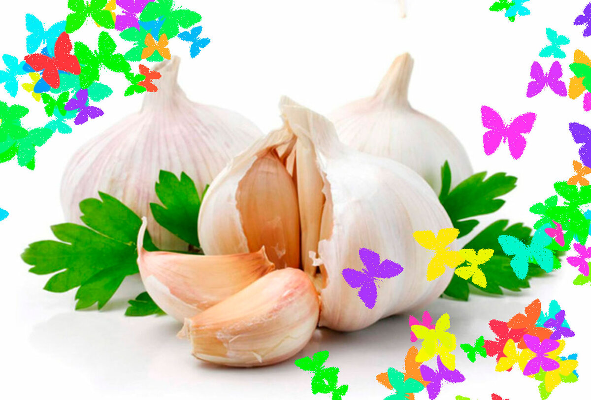 Полезные свойства чеснока