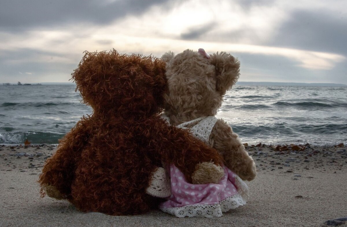 куда можно сдать мягкие игрушки. куда фигуристы девают игрушки мягкие. идеи из мягких игрушек. куда можно сдать мягкие игрушки. ненужные мягкие игрушки.