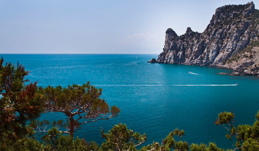 Фото взято из Яндекс.Картинки 