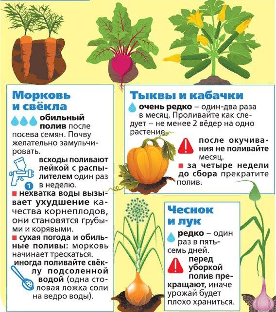 картинка из интернета 