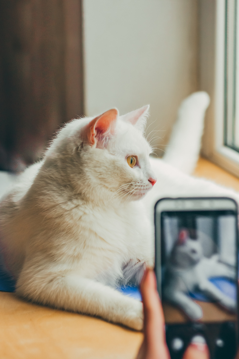 Фото: Котова Ксения