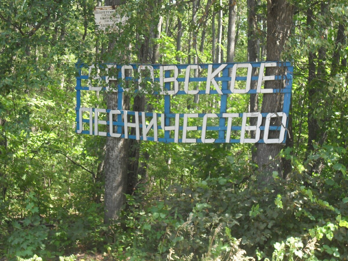 Бесовское лесничество. Фото из Яндекс.Карты