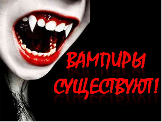 Коллаж автора