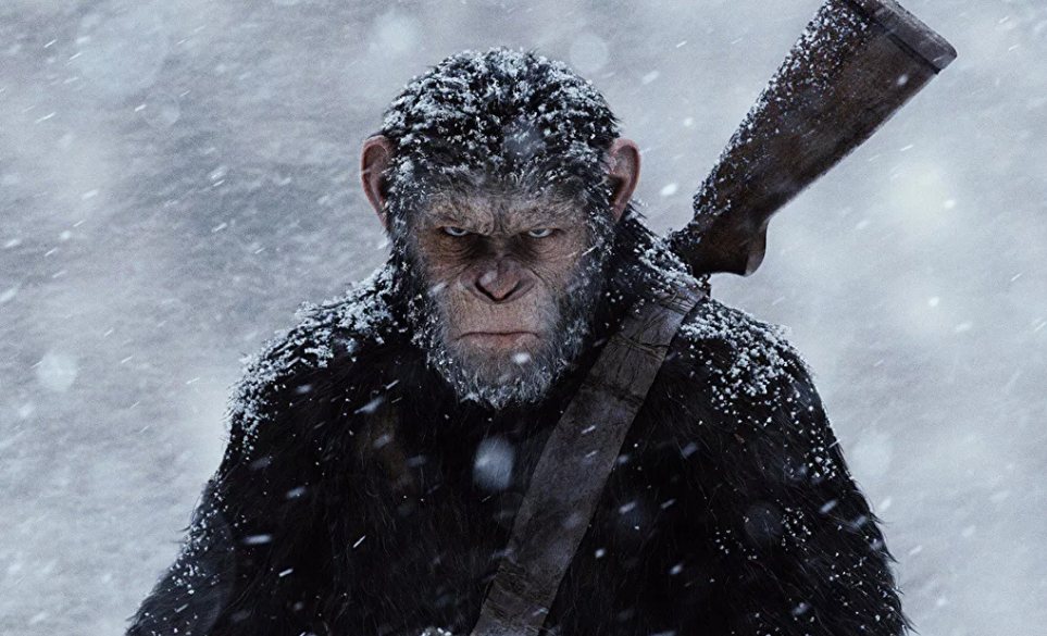 Суровый взгляд 