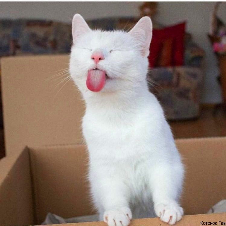 Источник: pinterest.cоm