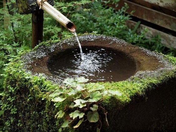 Фото из открытого источника.