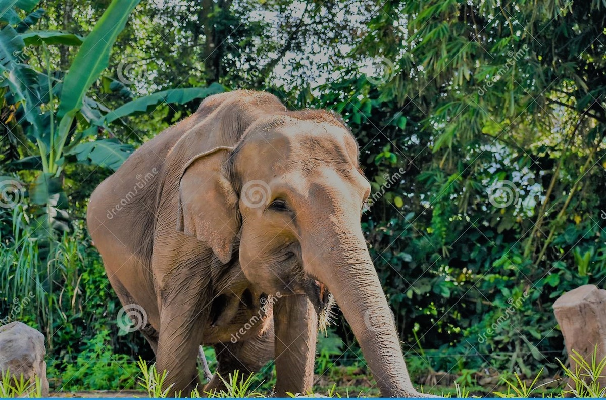 Фотографии взяты с просторов интернета