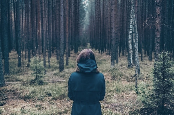 Источник Яндекс Картинки 