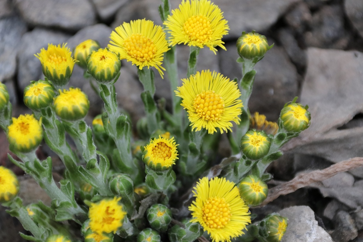 Image by Анна Иларионова from Pixabay 