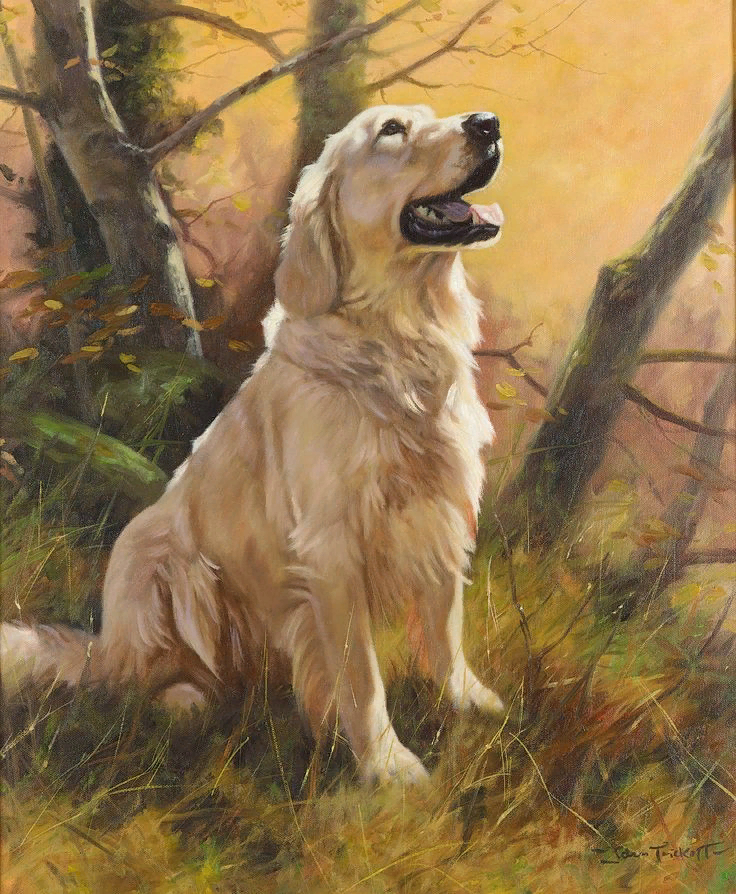 Источник: Яндекс картинки