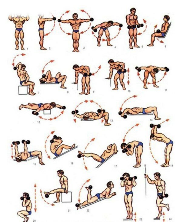 комплекс атлетической гимнастики для начинающих. комплекс упражнений с гантелями в домашних условиях для мужчин. упражнения с гантелями для мышц плечевого пояса. клмплексуправжений с гантелями. упражнения с гантелями 2 кг для мужчин.