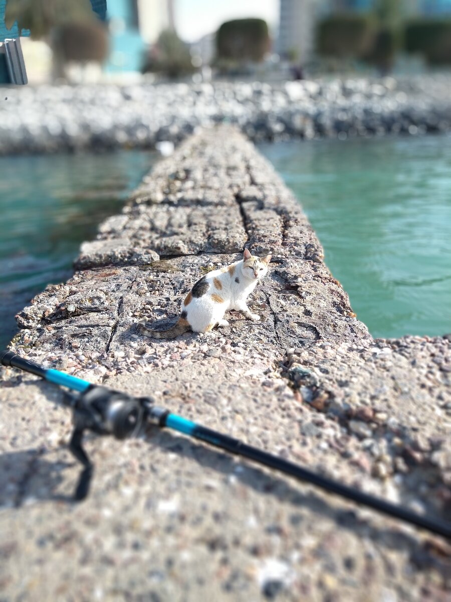 Kuwait, Salmiya, Gulf Street