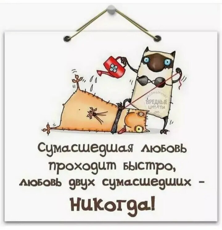 Картинка из просторов интернета