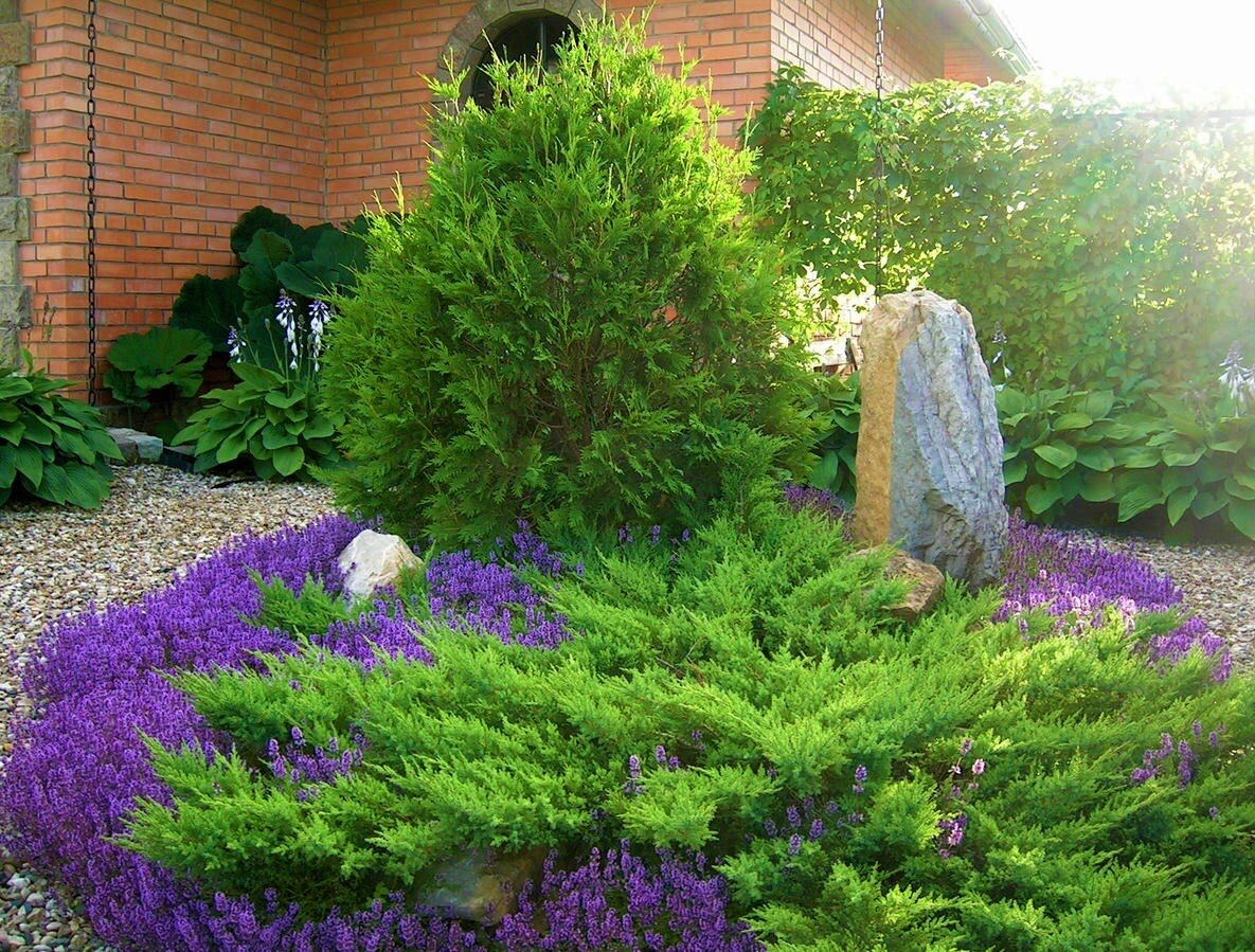 Источник фото: Яндекс картинки.