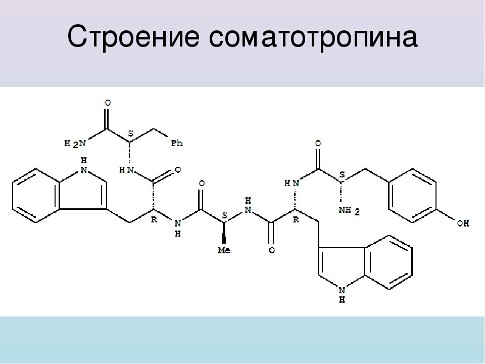 Гормон роста презентация