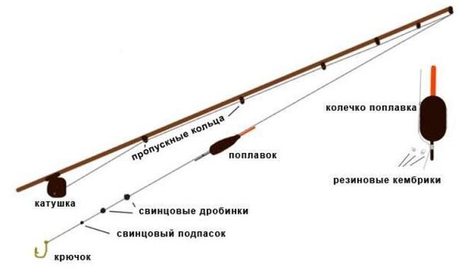 Виды ловли сазана в зависимости от места ловли