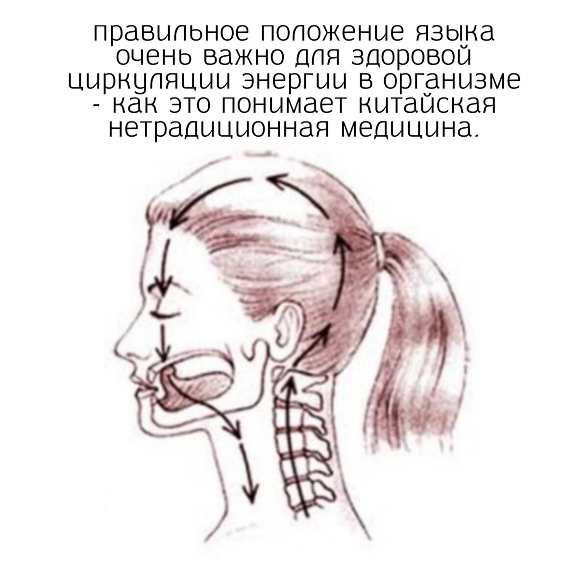 Мюинг положение языка схема
