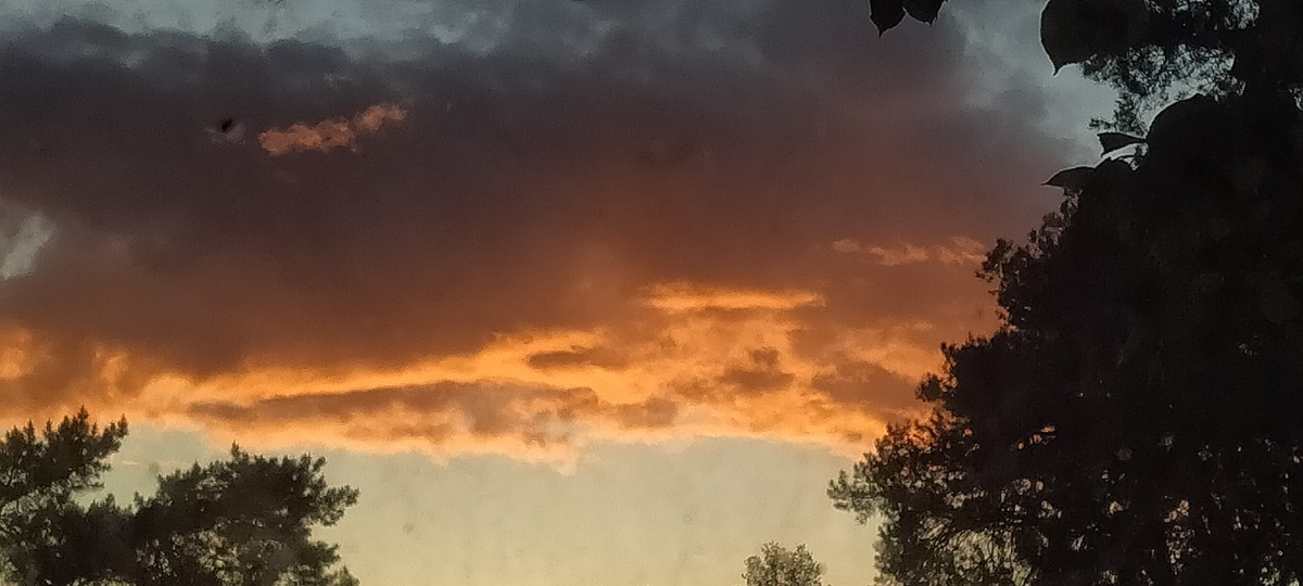 После карантина я буду гулять много и долго до поздна ведь ходьба ускоряет метаболизм 