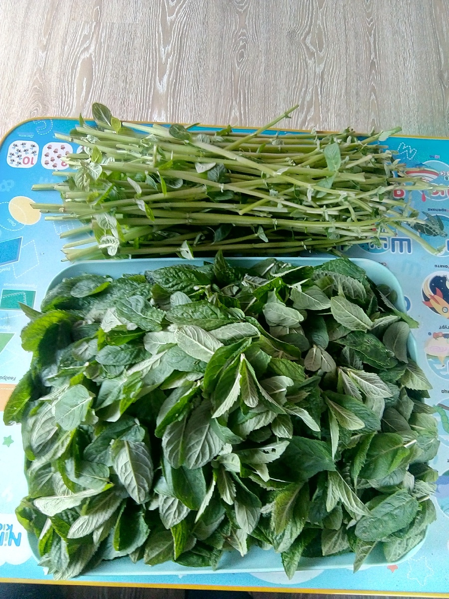 Я люблю монотонную работу, меня успокаивает, хотя некоторых моих знакомых бесит, терпения у них не хватает