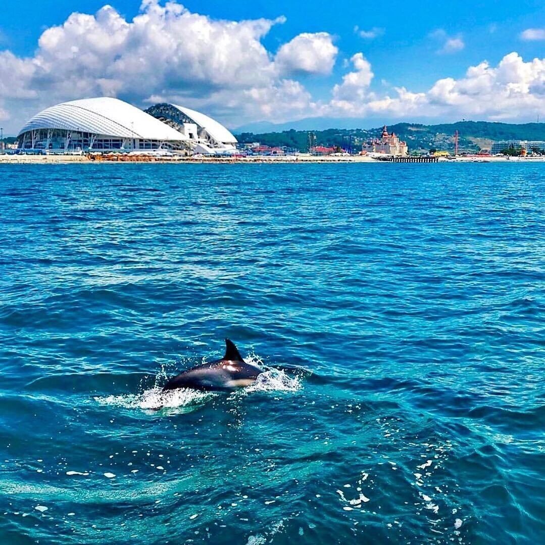 черное море в сочи