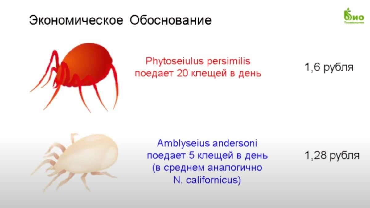 Акарифаг с большой буквы и новинка от Сергея Тертычного | ГлавАгроном | Дзен