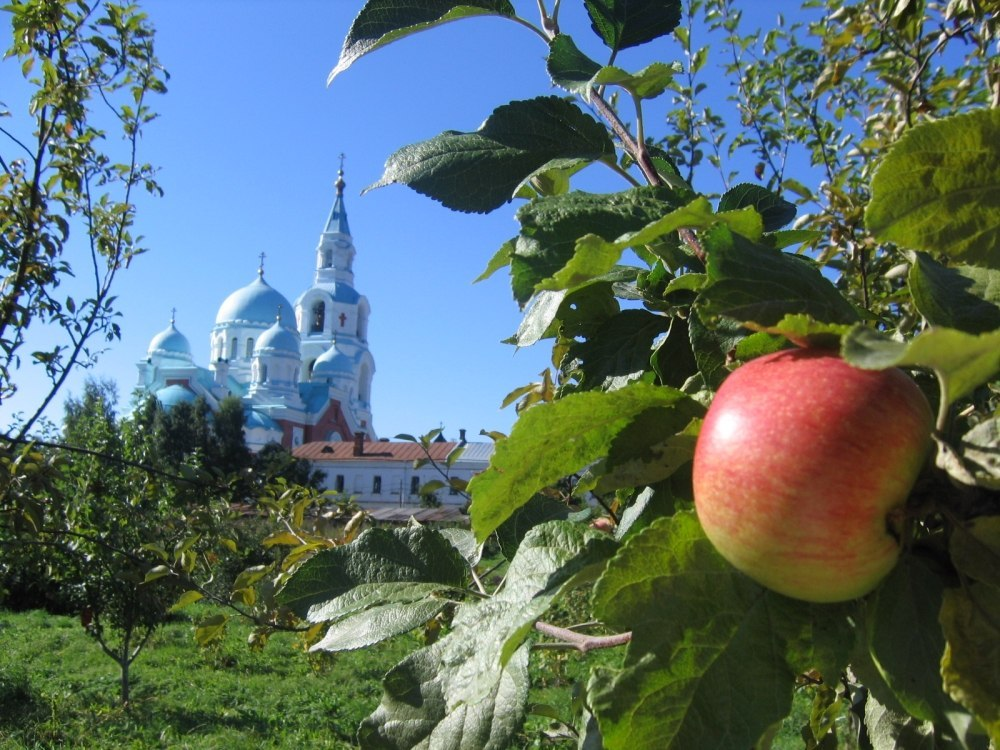 Фото: сайты Валаамского монастыря и МГАУ, Я. Гайдукова, а также неустановленных авторов 