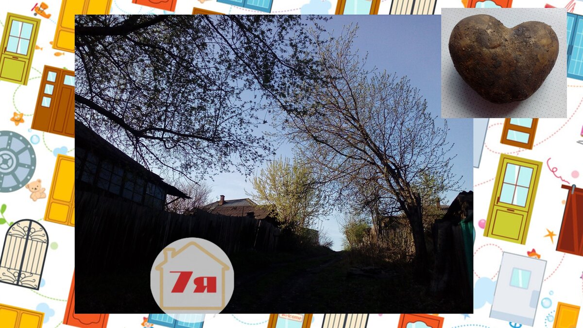 Вечереет. Муж пришел с работы, картофелину мне принес. В форме сердца. Значит, любит)) Подписывайтесь на канал, если интересна тема семьи и отношений. Оцените статью после прочтения!