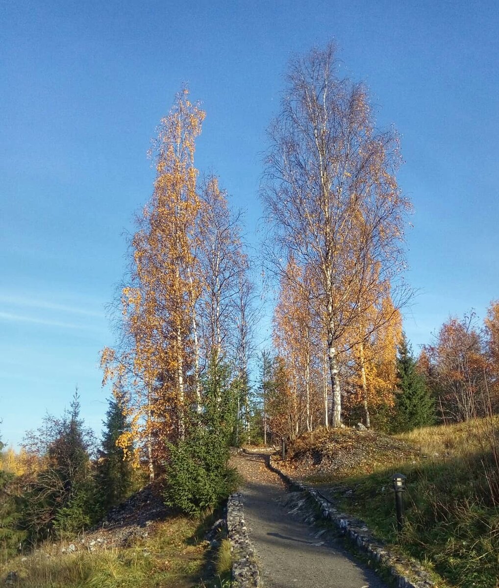 Очень повезло с погодой. Было 15 октября и +15!