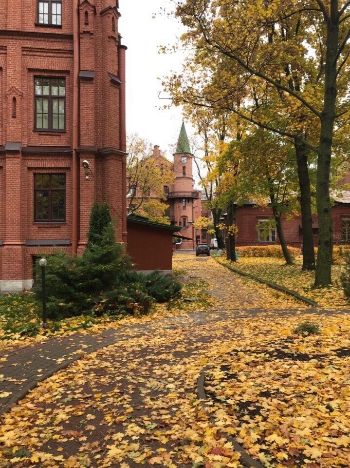 Сад в больнице